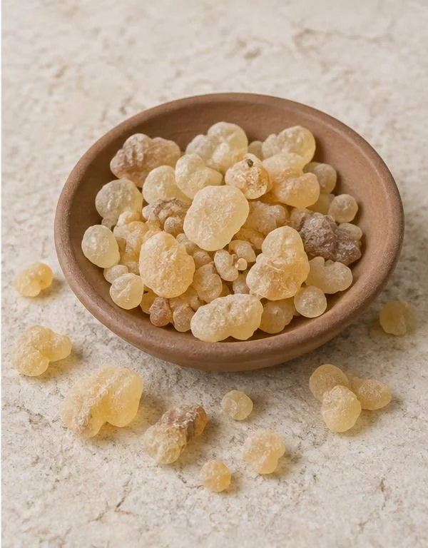 Illustrative botanical study of shallaki botanical resin